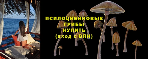 амф Абдулино