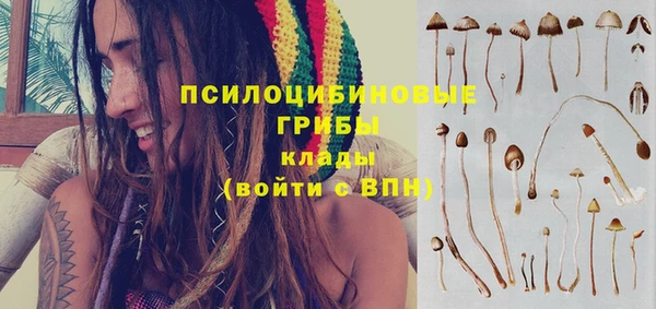 амф Абдулино