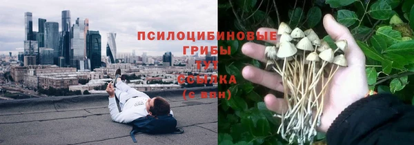 амф Абдулино