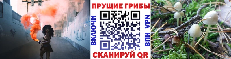 Псилоцибиновые грибы прущие грибы  нарко площадка какой сайт  Стерлитамак 